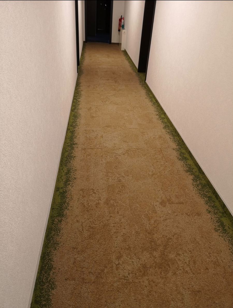 Langer Flur mit verlegtem beigem Teppichboden und grünem Randstreifen zwischen dunklen Wohnungstüren.