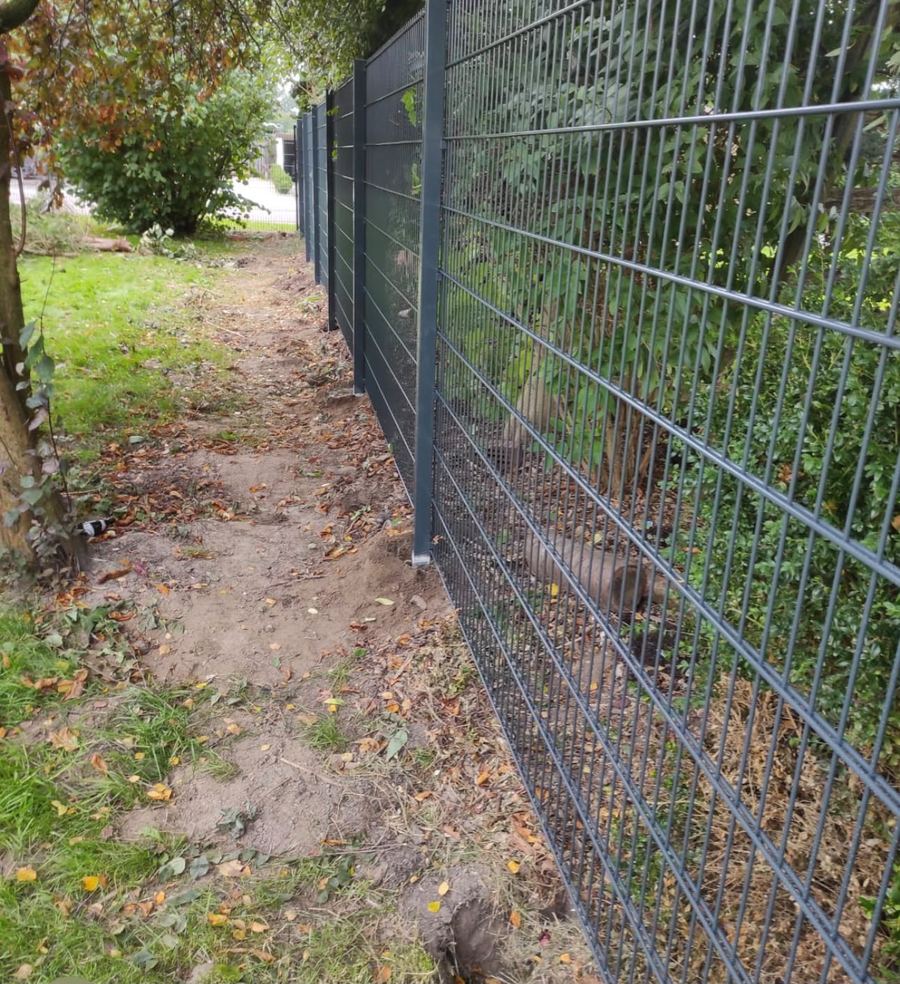 Neu gesetzter Doppelstabmattenzaun ohne Sichtschutz entlang der Grundstücksgrenze, davor frisch ausgehobener Erdstreifen.