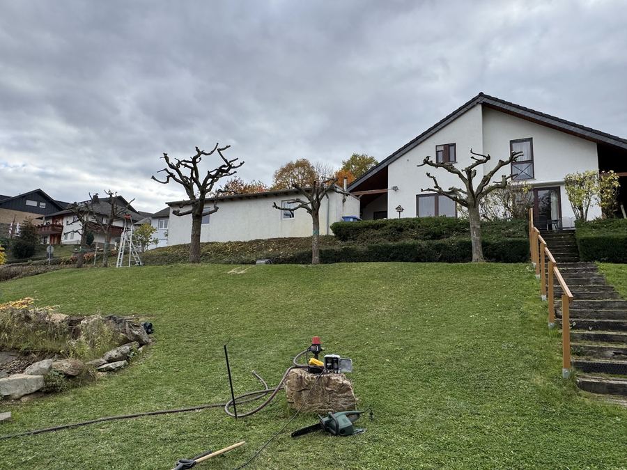 Hanggarten mit frisch geschnittenen Formbäumen, Leiter und Werkzeug auf dem Rasen während der Baumschnittarbeiten.