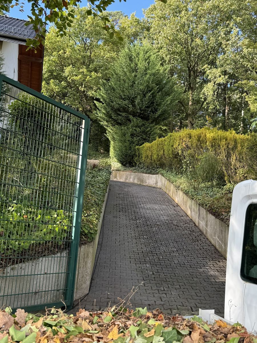 Gepflasterte Hangeinfahrt mit gepflegten Hecken und grünem Gartentor.