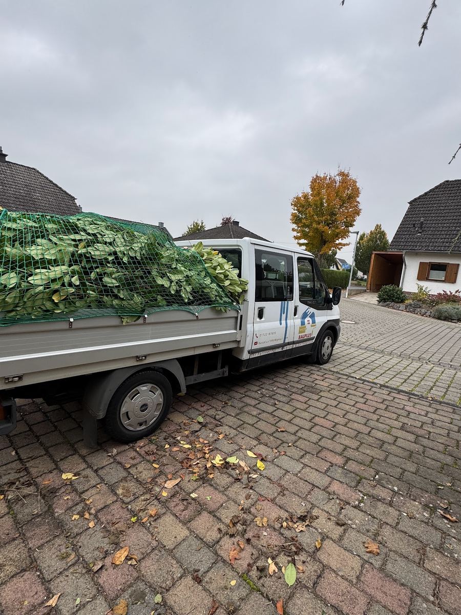 BauPlus-Pritschenwagen voll beladen mit Heckenschnitt unter grünem Netz auf gepflastertem Hof.