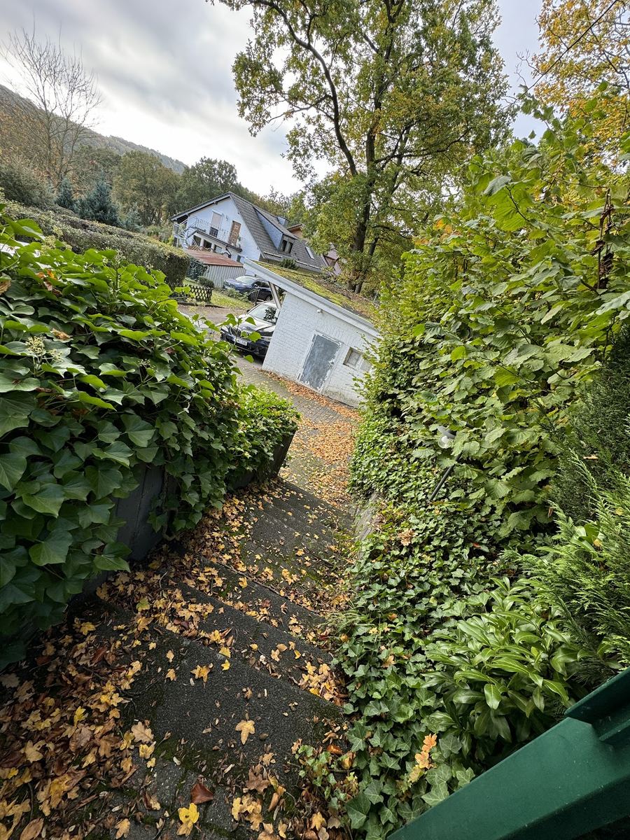 Gartentreppe zwischen Hecken und Efeu mit Herbstlaub, Blick auf Hof und Garage.