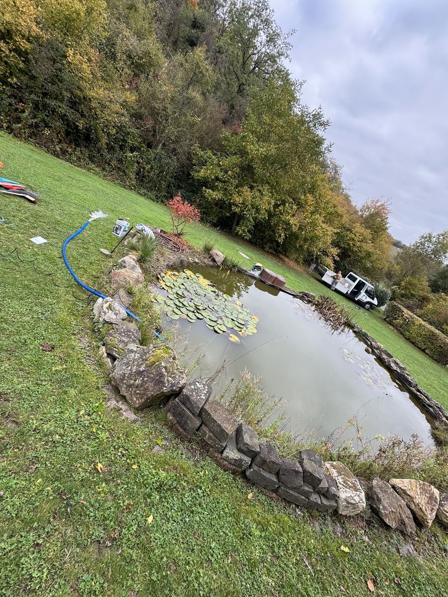 Großer Gartenteich mit Seerosen während der Reinigung, Firmentransporter im Hintergrund.